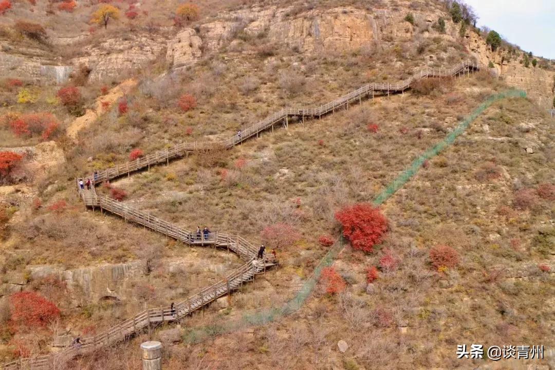 青州蜜三刀在哪,青州一个人去什么地方玩