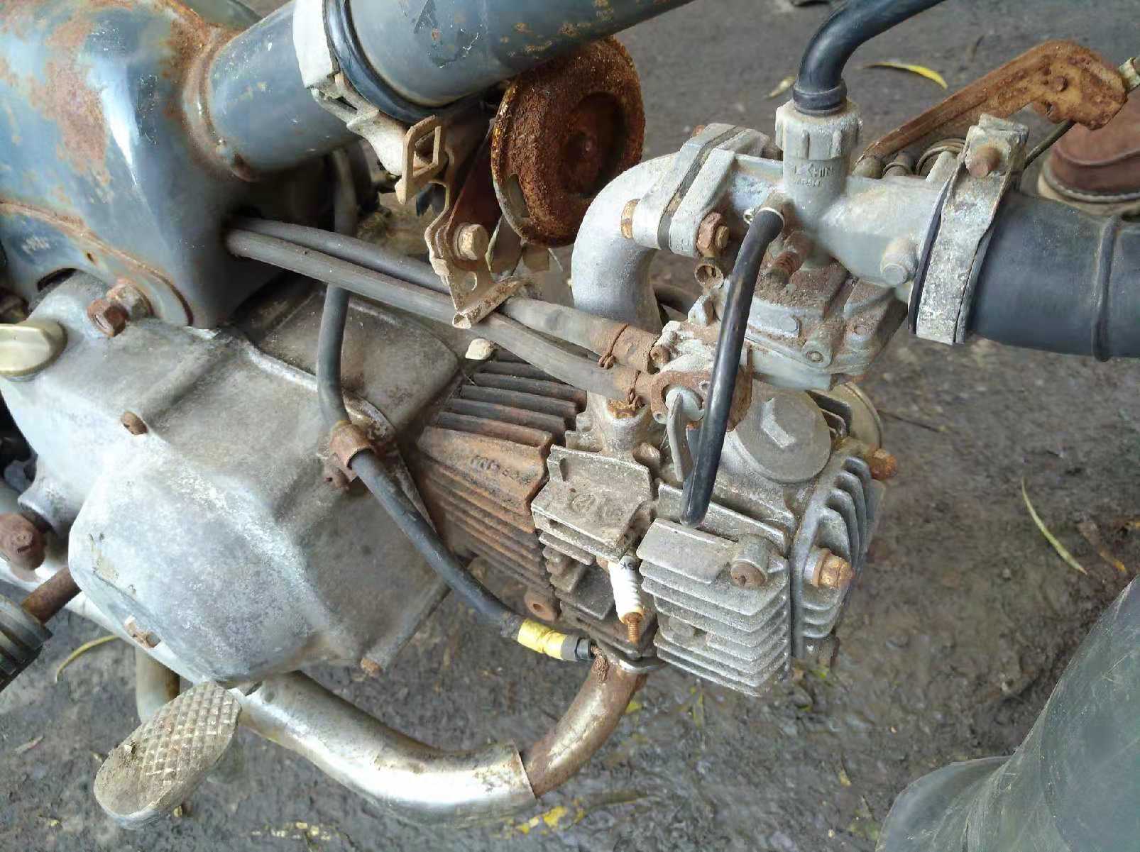 本田幼兽和威武的区别,本田幼兽多厉害