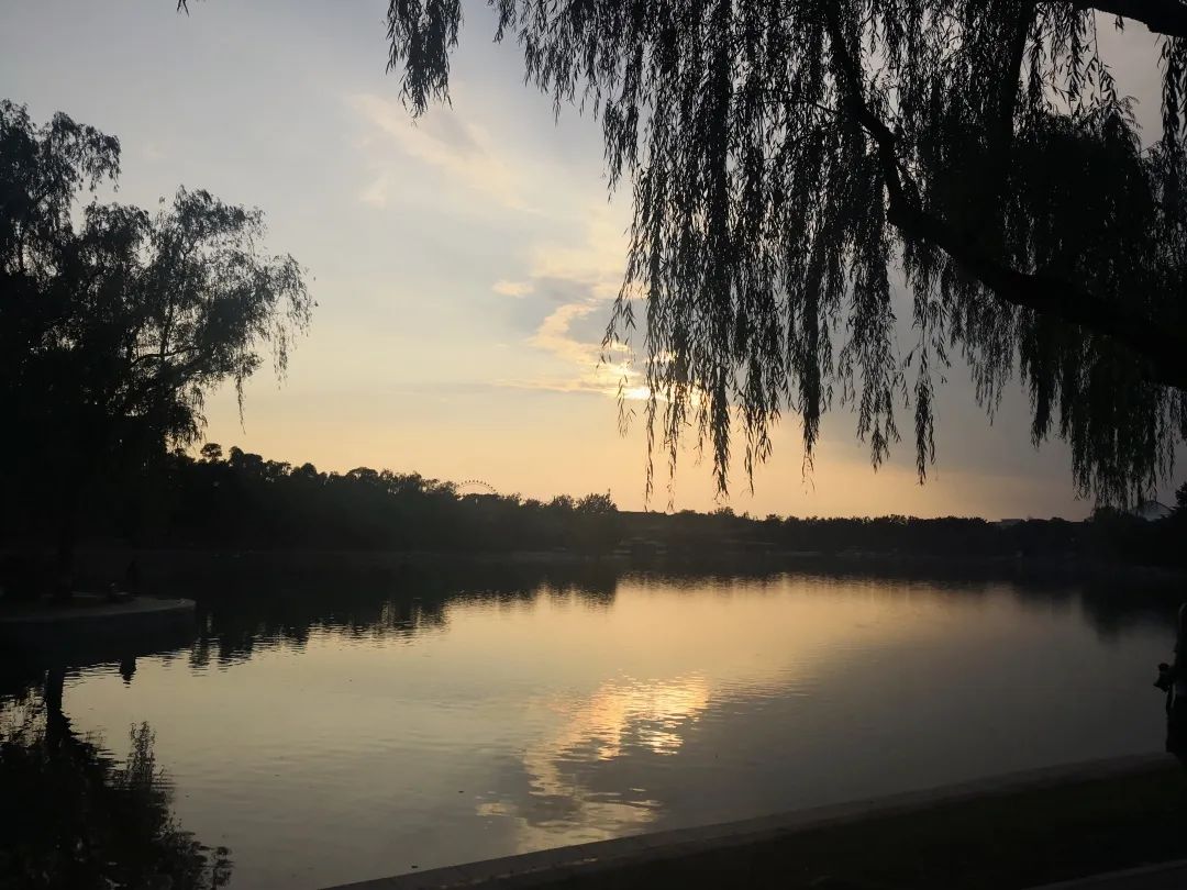 关键之道体育怎么样,关键之道体育