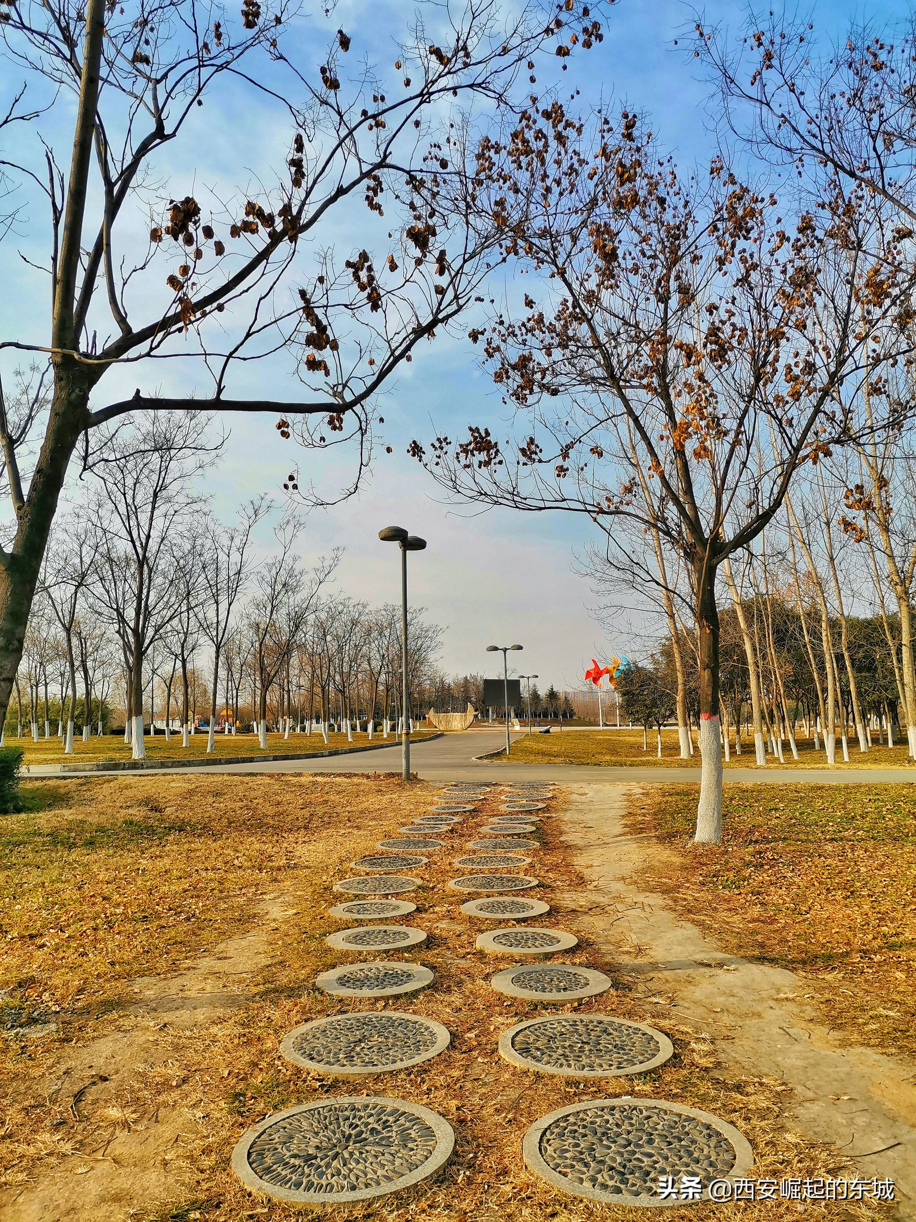 西安浐灞国家湿地公园最美航拍,西安市浐灞国家湿地公园