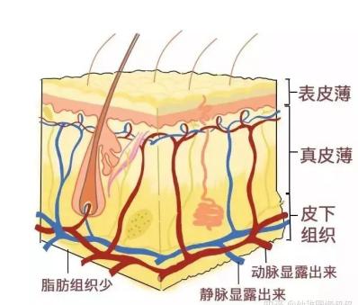 有黑眼圈怎么办如何去除黑眼圈,有黑眼圈该怎么办才能消除黑眼圈