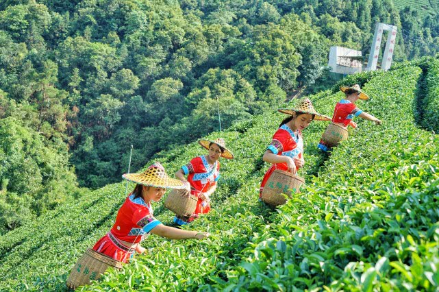 贺州旅游必去十大景点排名,贺州旅游十大最佳景点推荐