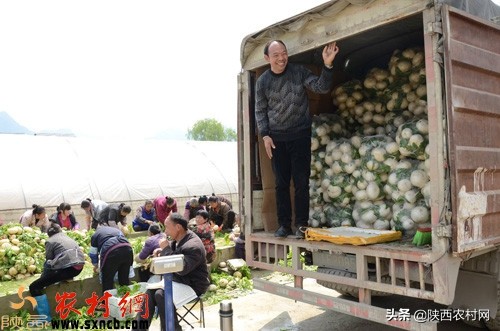 比打工好的挣钱小项目,比创业更好的副业