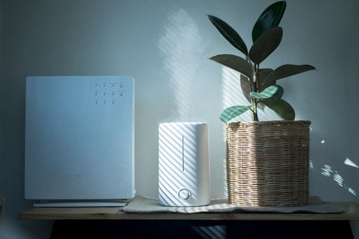90%人买加湿器都会掉的坑，砸了1w+元后我总结出这篇终极指南