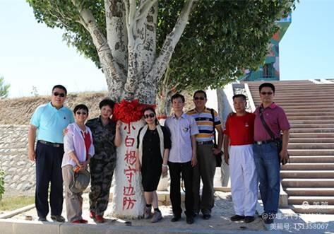 白杨树全文朗读合拍,白杨树文章阅读