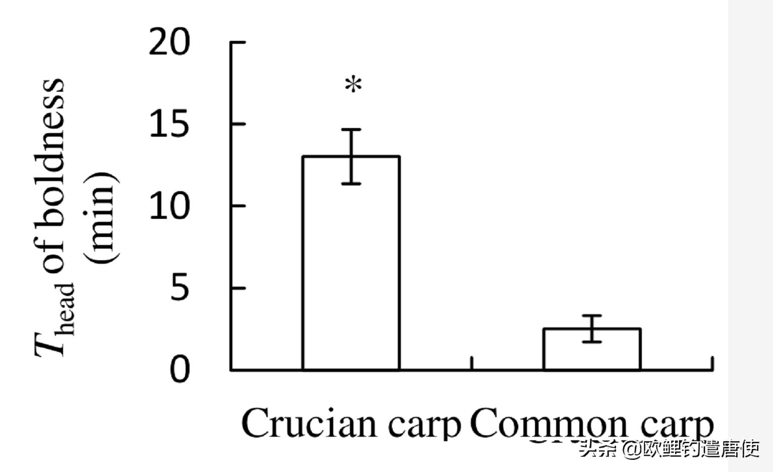 为什么鲤鱼比鲫鱼难钓,为什么鲫鱼这么难咬钩