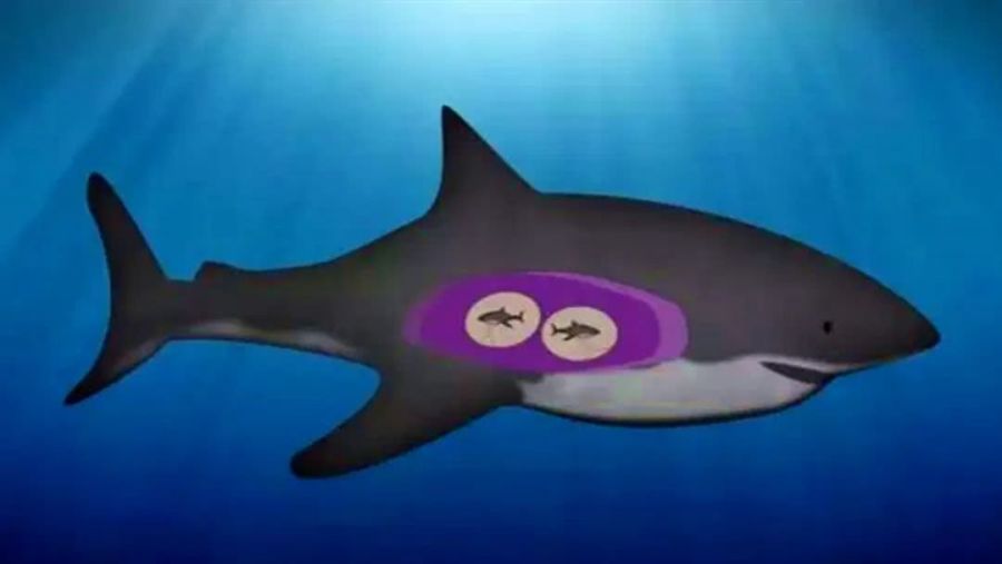 你不能捏紧鼻子发出“哼”,不信你试试,5个一般人不知的冷知识