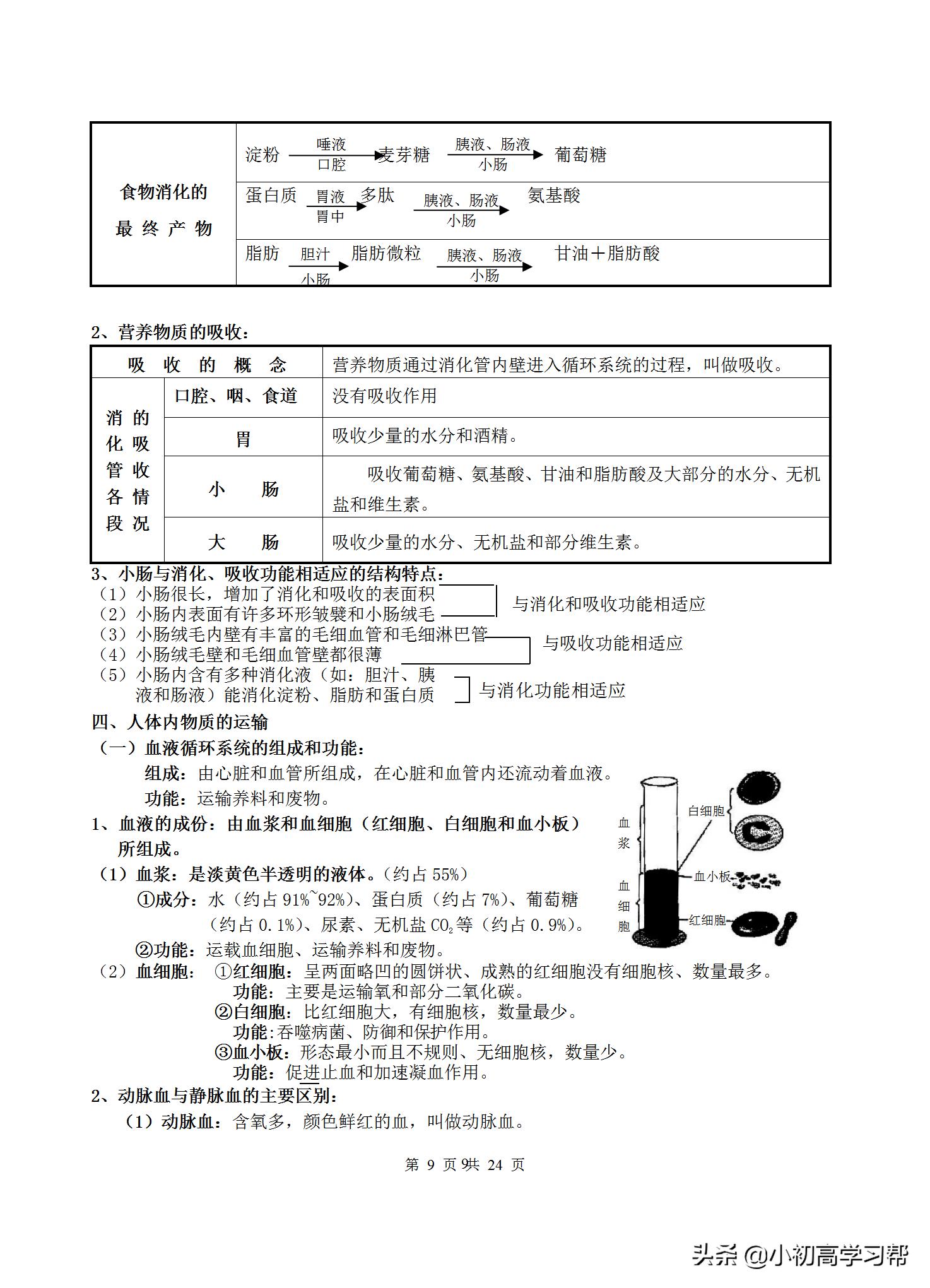 中考生物复习资料大全免费,2022中考生物必考知识点总结