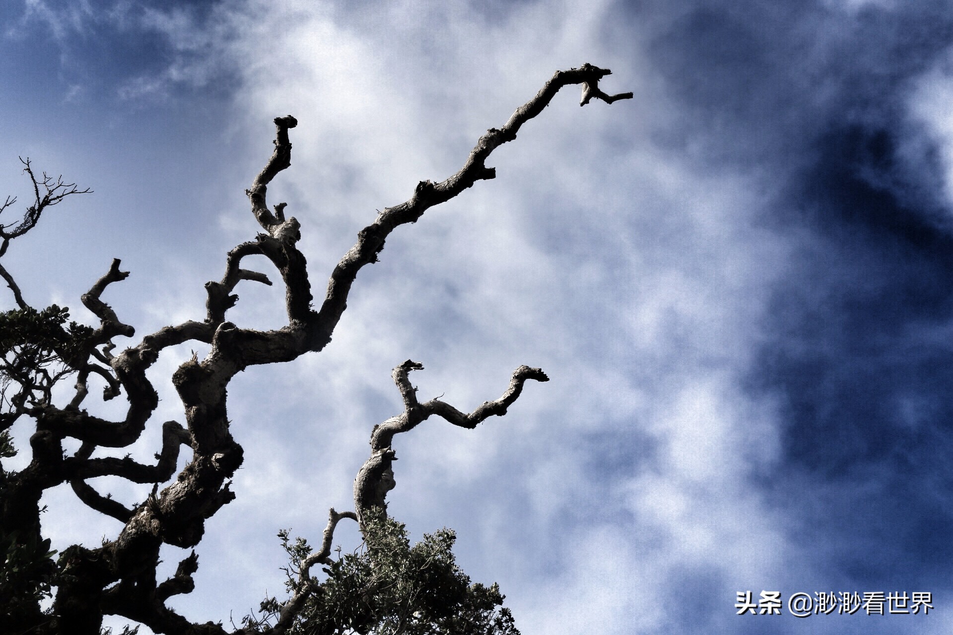 去斯里兰卡旅游攻略,1月去斯里兰卡旅游的最佳攻略