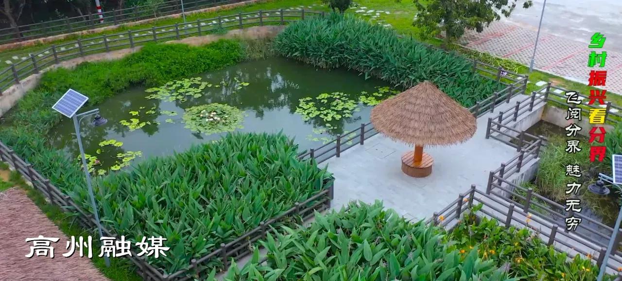 飞阅系列,飞阅新闻最新消息