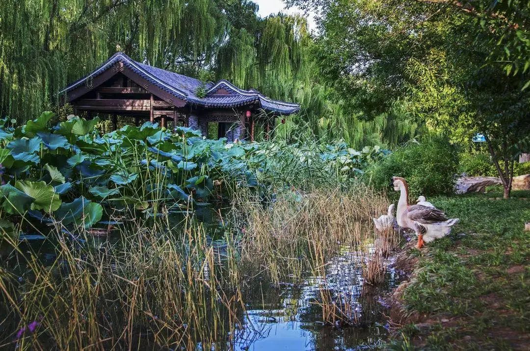 2017年北京市优美河湖,我市4条河湖入选省美丽河湖