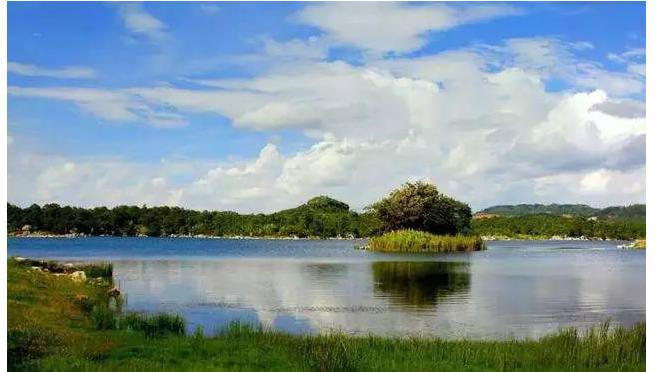 周边游玩景点推荐昆明孔雀湾,昆明周边旅游推荐玉龙湾森林公园