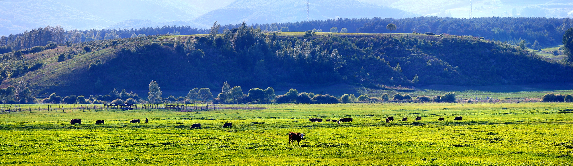 康熙一生巡访几次,康熙帝三次亲征的路线