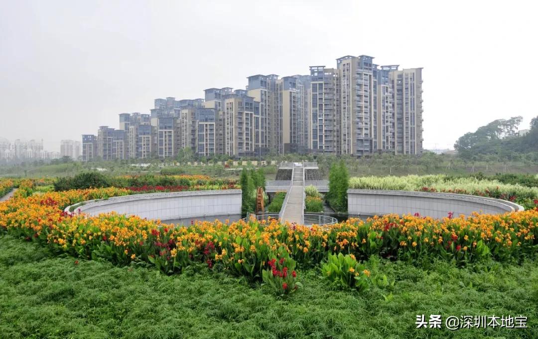 深圳完全免费的十大景点,深圳10大免费景点上集