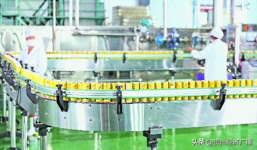 特色食品工业化生产,组织化规模化特色化