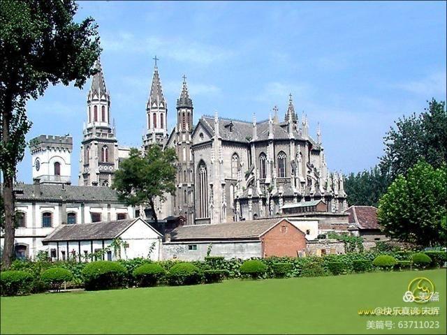 山大学院里树木故事,山大校史名人故事