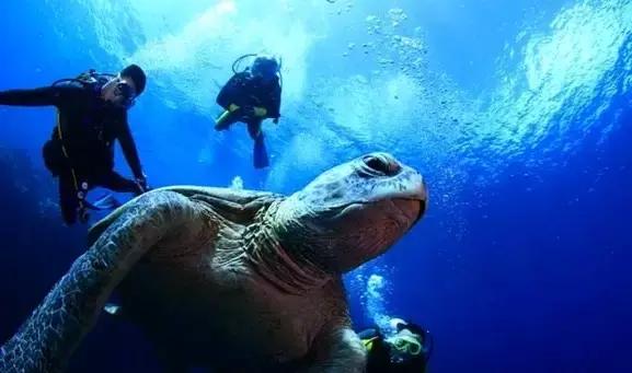 帕劳旅游攻略自由行路线推荐,帕劳旅游攻略全过程