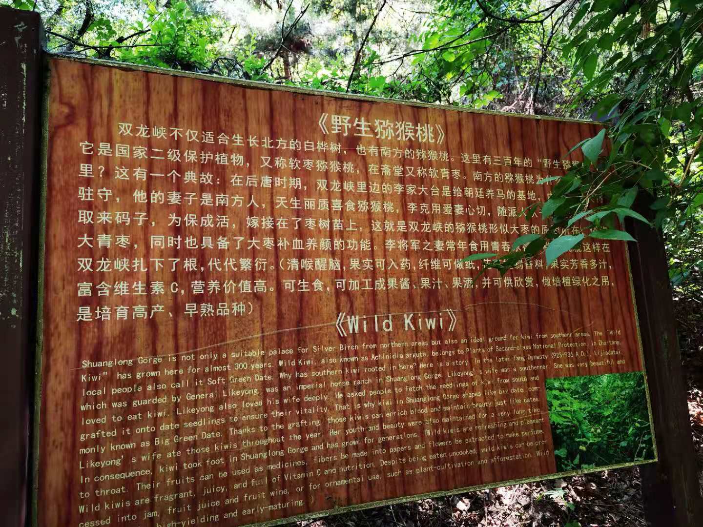 打卡北京双龙峡风景区,十里溪流百潭瀑布,北方小九寨名不虚传