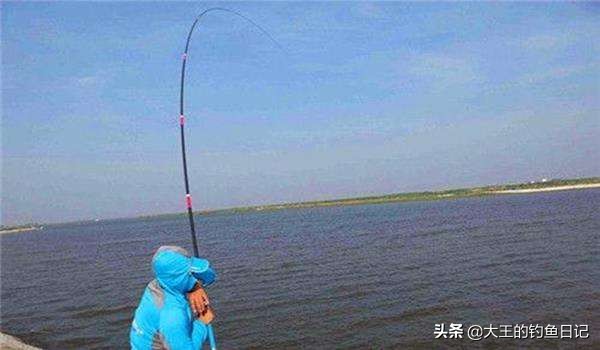 #头条钓鱼王#新钓友入门之五——鱼杆该如何选择？（夏季篇）
