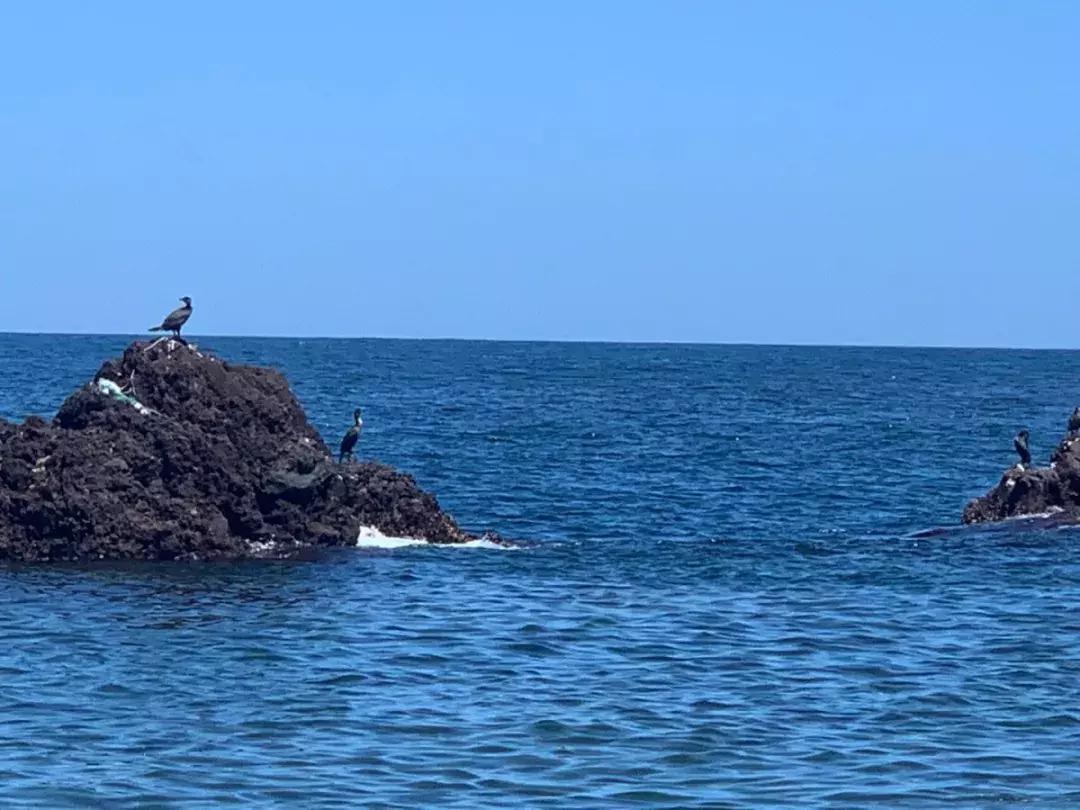 体验师木槿昔年和一群美丽的小姐姐们济州岛之旅