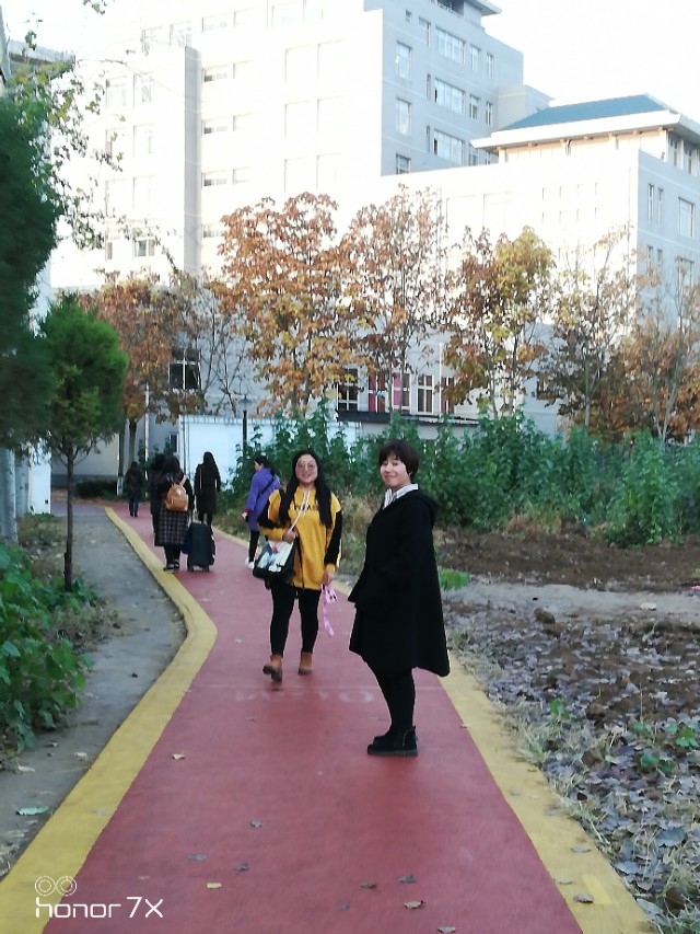 笋因落箨方成竹下一句是什么,笋因落箨方成竹打一生肖