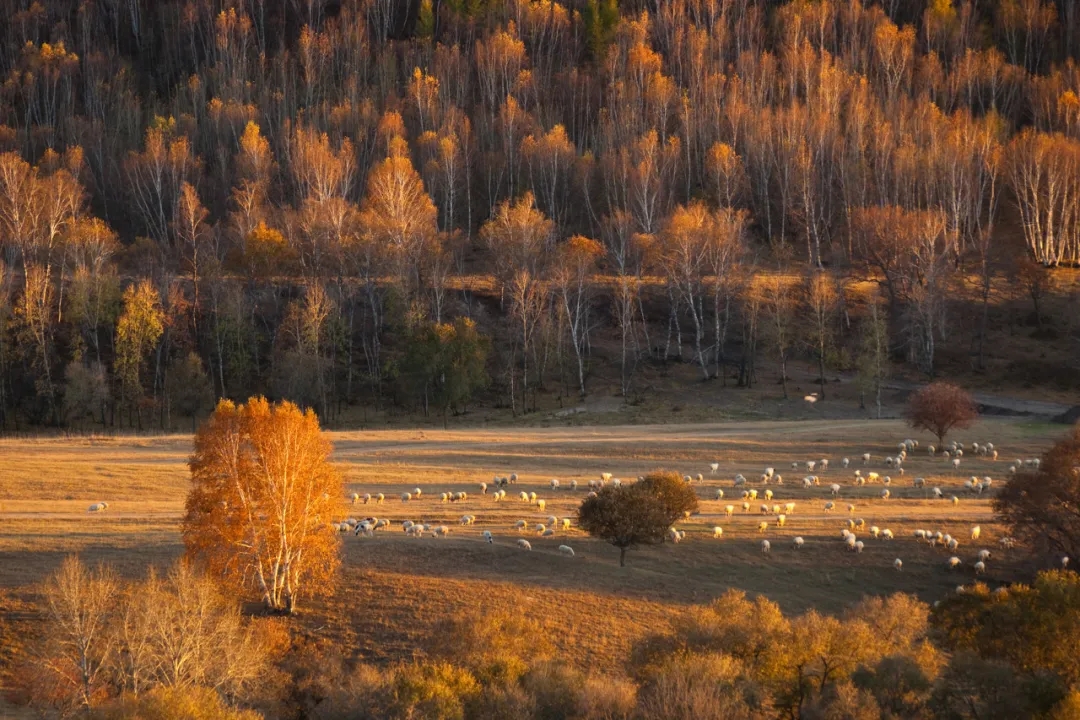 适合秋天自驾游的路线推荐一下,秋天皖南川藏线自驾游攻略