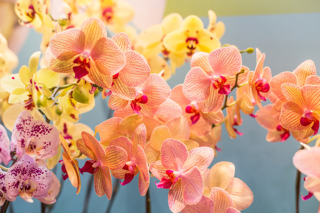 从《金缕衣》让迷失的你找到快乐之门