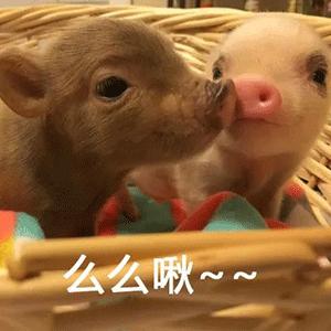 如何低调优雅炫车,怎么样低调秀车