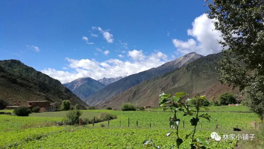 西藏滇藏骑行攻略,骑行滇藏丙察察线完整攻略