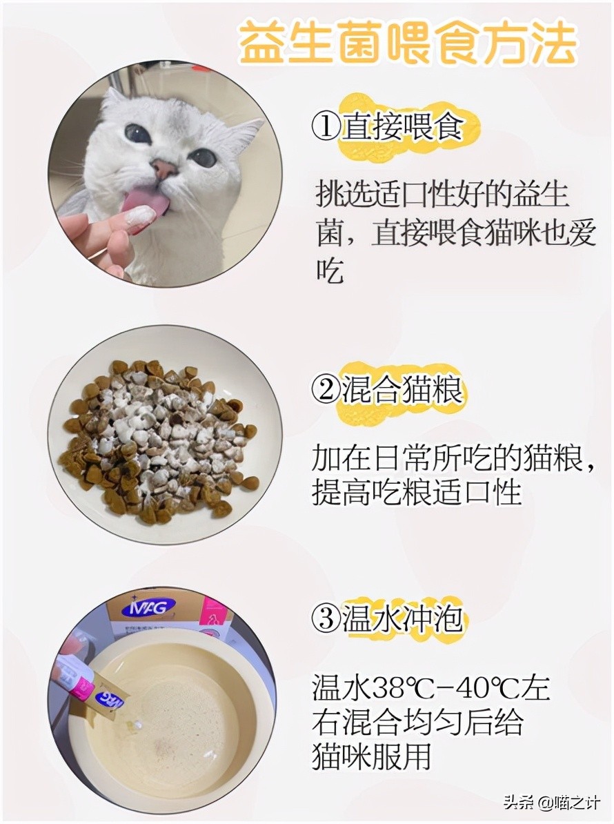 猫咪口臭怎么办最有效的方法,猫咪有口臭怎么解决