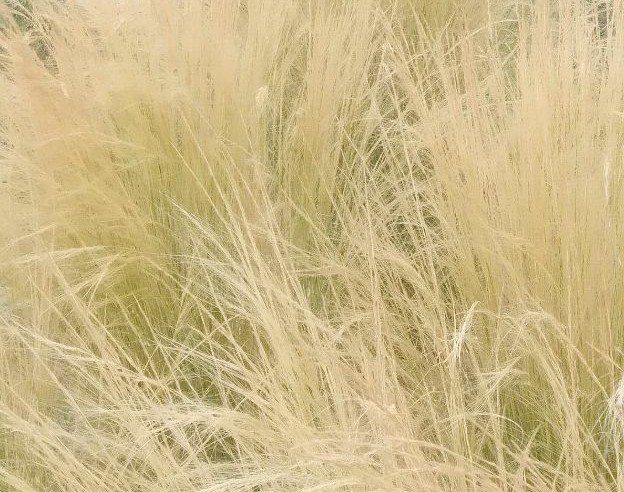 走出抑郁改变自己变得优秀,走出抑郁增强自信