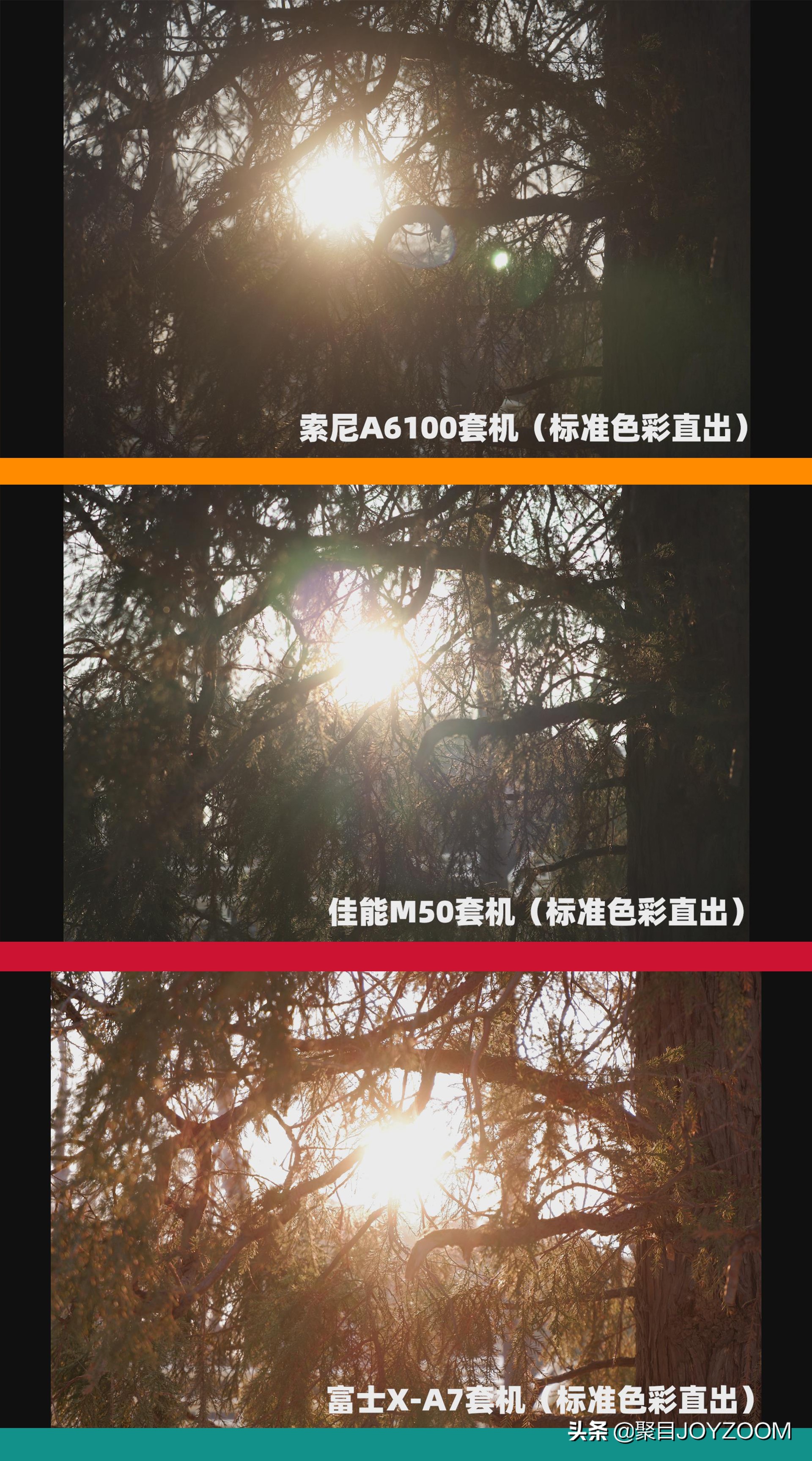 介绍一款aps-c画幅单反相机,新手值得买apsc画幅的相机吗