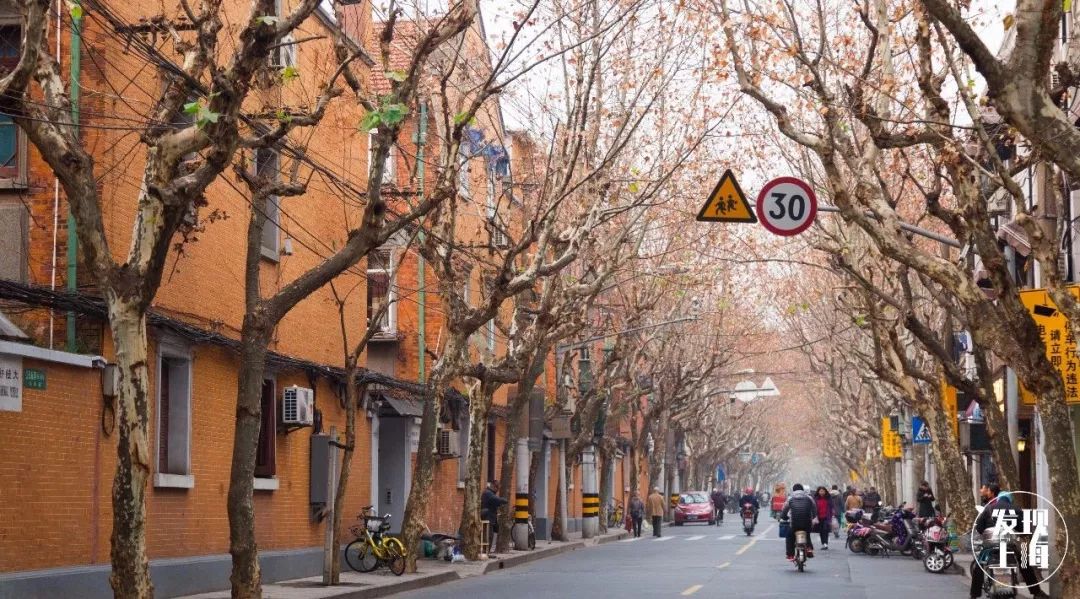 上海一日游古镇最佳路线免费景点,上海晚上十大必去免费景点