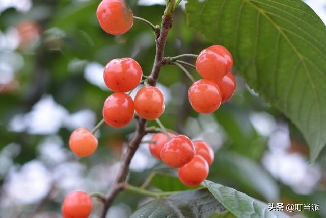 孩子手指被榨汁机绞伤后续,榨汁机伤小孩