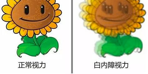 对你的眼睛好点，不然就快瞎了知不知道！