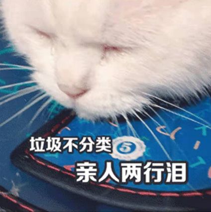 上海垃圾分类天价罚单,上海垃圾分类开出首张罚单