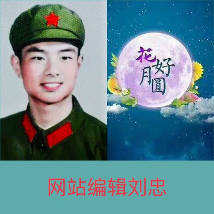 戴学仁魏树华夫妇的幸福故事,白浪情活动