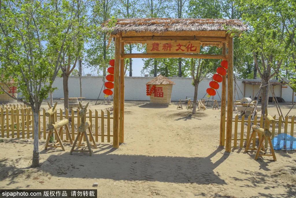 薰衣草花海真是太美了,北京薰衣草花海打卡网红地