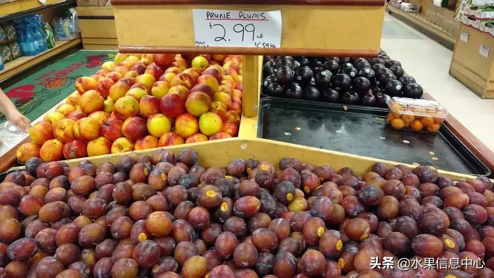 水果的品质辨别,鉴别水果好坏的技巧表格