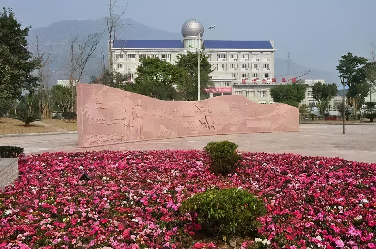 重庆市区重点学校有哪些,重庆区重点学校有哪些