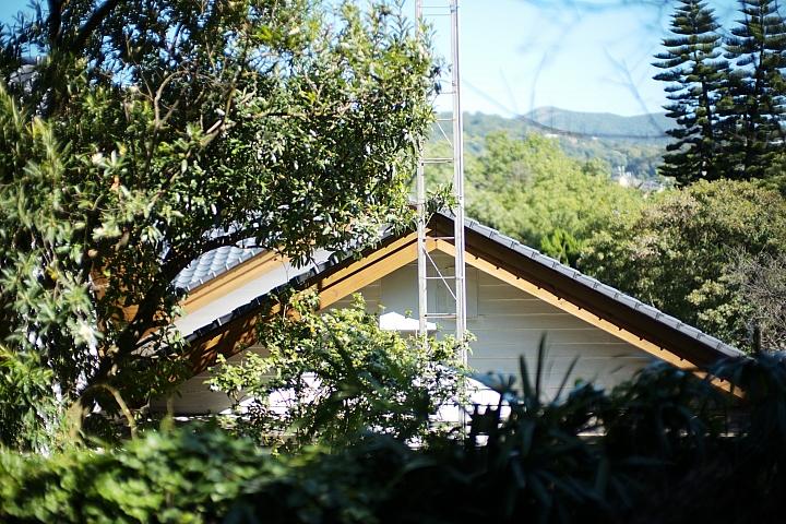 反璞归真2.0,反璞归真005