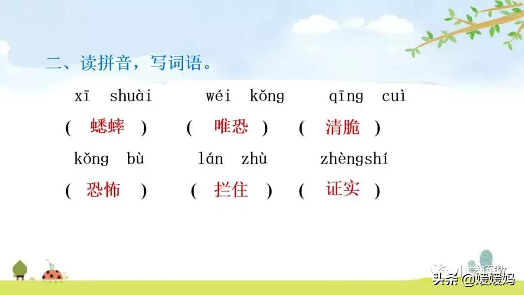 六年级下册语文表里的生物朗诵,六年级下册表里的生物小练笔400字