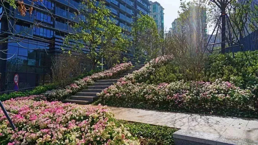 惠州恐龙主题公园,惠州免费公园哪个景点好