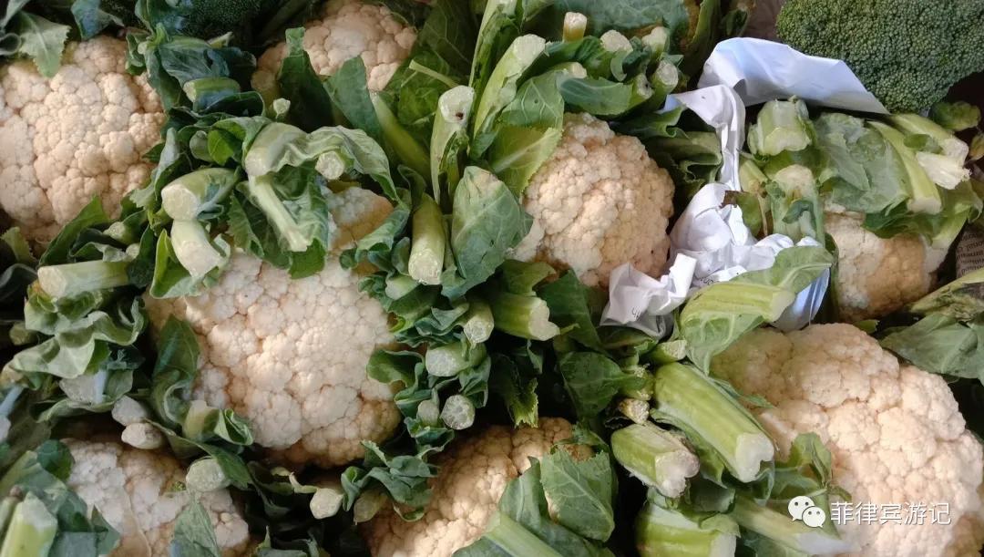 菲律宾青菜价格表,菲律宾蔬菜为什么那么贵