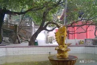 珠海市旅游必去十大景点排名,2021珠海免费景点珠海小九寨沟