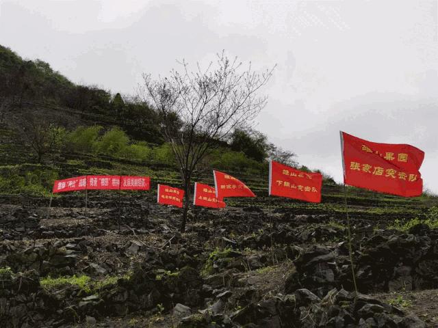 欢呼！余杭9条精品旅游线出炉！瓶窑、塘栖、中泰...太惊艳了！