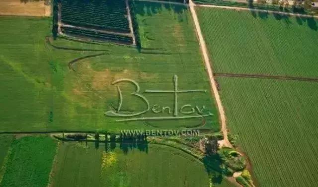 物联网水肥一体化以色列,菜吧家庭农场运营