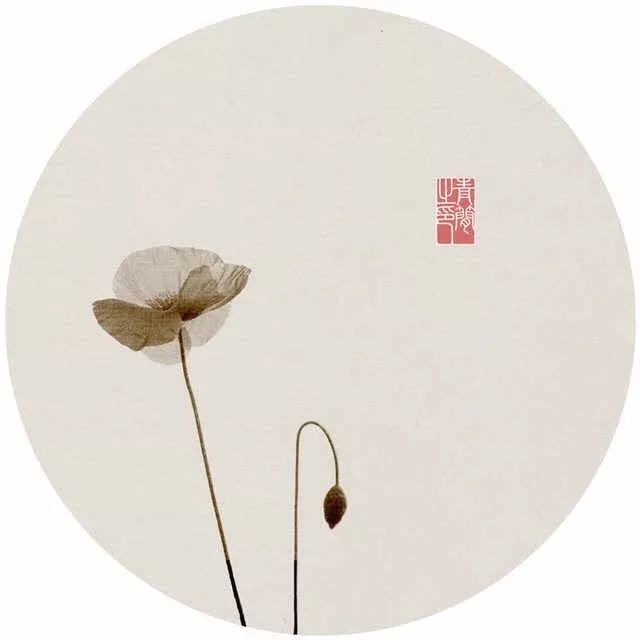 苏东坡不如归去,苏轼只愿归去做个闲人