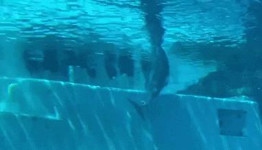 圣淘沙名胜世界完整版,圣淘沙旅游攻略地图大全