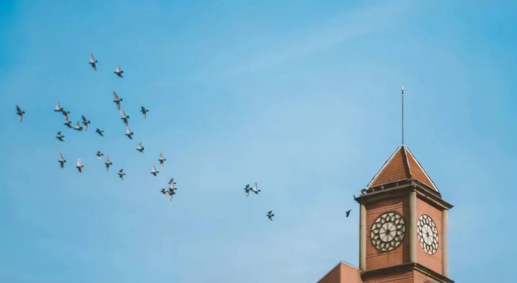 first青年电影展西宁露天放映,first青年电影展西宁索菲特